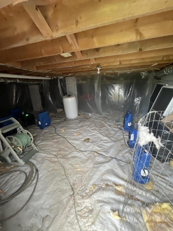 emergency water damage restoration water damage repair water damage cleanup water damage restoration
