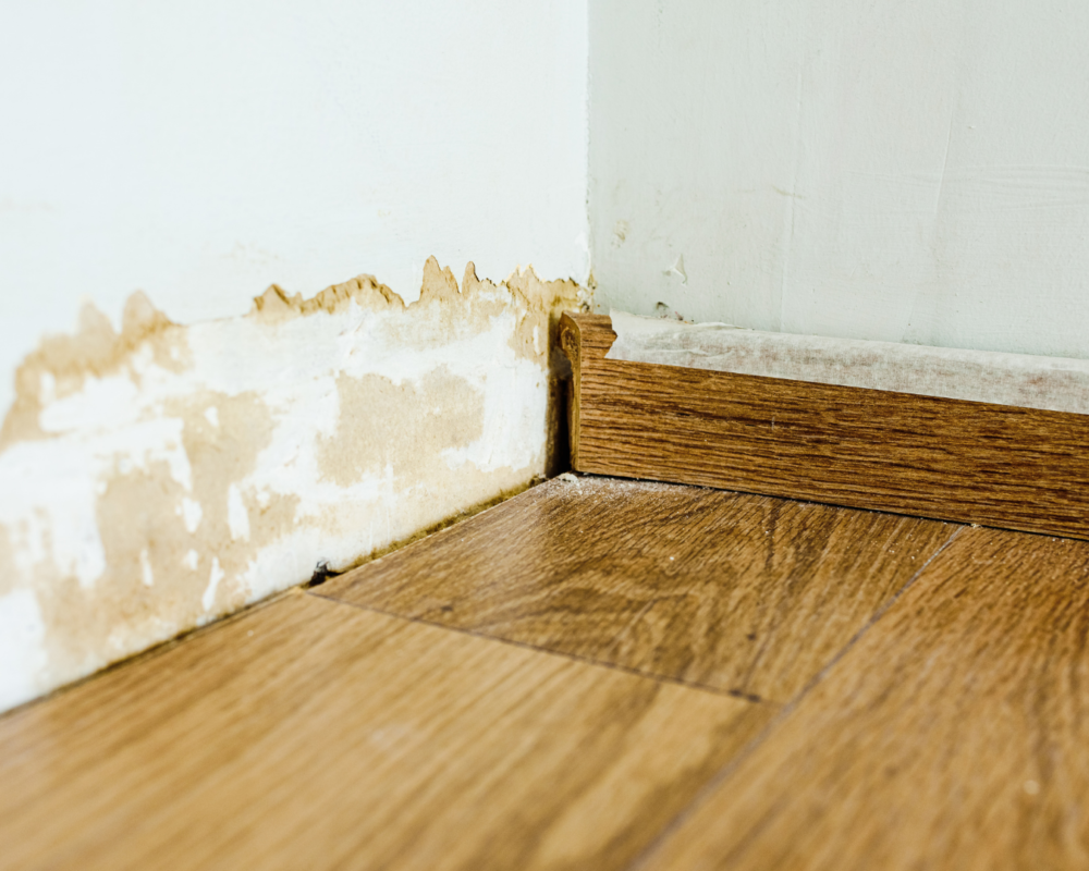 Skirting board in home with water damage and mold.