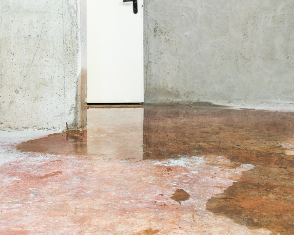 Basement with puddles of water.